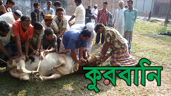 সম্পাদকীয়ঃ কুরবানীর ইতিহাস ও তাৎপর্য এবং আমাদের করণীয়।