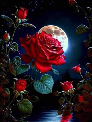 কবিতা: তোমার অনুভুতিগুলো