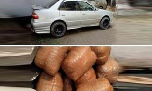 বগুড়ায় মাদক বিরোধী অভিযানে ১০০ কেজি গাঁজা জব্দ: প্রাইভেটকার আটক