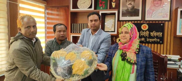 ঠাকুরগাঁওয়ের বালিয়াডাঙ্গী উপজেলা রঙিন ফুলকপি চাষে আগ্রহ বাড়ছে কৃষকদের