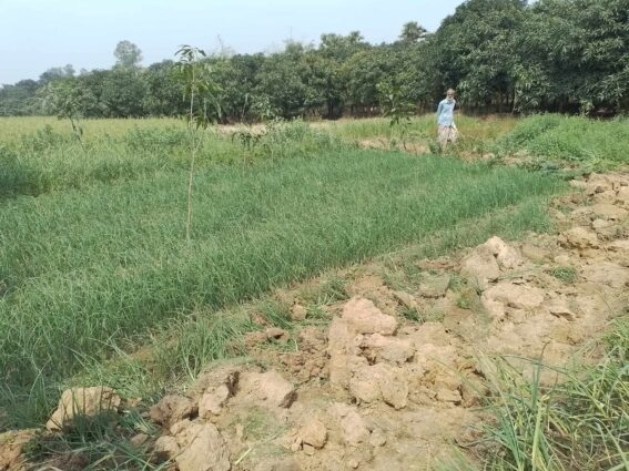 নওগাঁর সাপাহারে জমি দখল চেষ্টার অভিযোগ