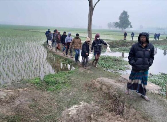নিখোঁজের ৮ দিন পর ডোবা থেকে বৃদ্ধার মরদেহ উদ্ধার
