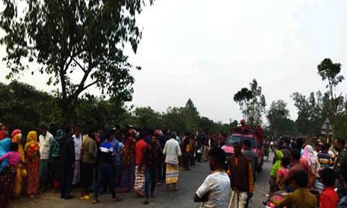 ঠাকুরগাঁওয়ে গাছের সাথে ধাক্কা লেগে প্রাণ গেল মোটরসাইকেল আরোহীর