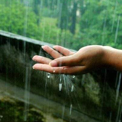 কবিতা: শঙ্কা, এম চৌধুরী