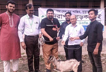 ঠাকুরগাঁওয়ে নিরাপদ সড়কের ছাগল প্রদান