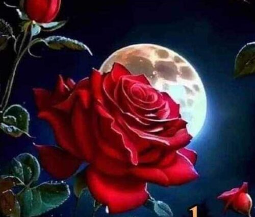 কবিতা: *তোমার স্মরণে*