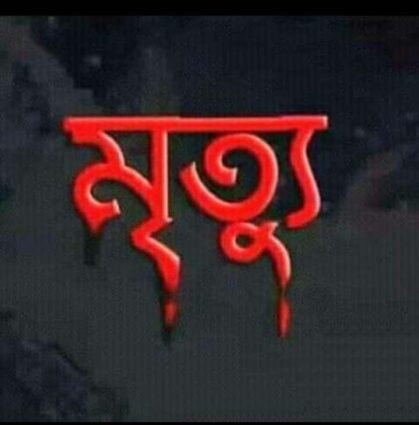 ঠাকুরগাঁওয়ে পানিতে ডুবে একই পরিবারের দুই জনের মৃত্যু