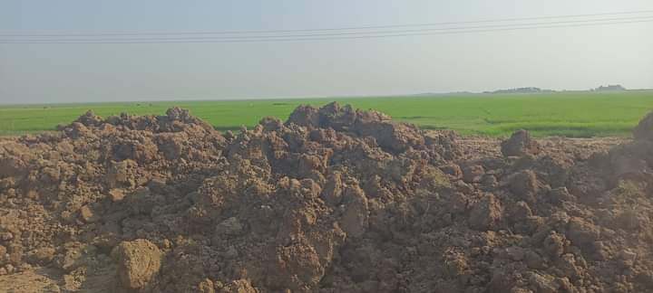 সুনামগঞ্জে ফসল রক্ষা বাঁধের কাজ নিয়ে শঙ্কায় কৃষকরা