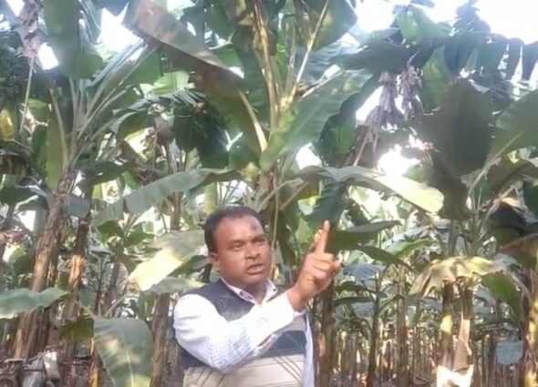 পৌর কাউন্সিলর মাজেদুর ডা.লিওকে হত্যার হুমকি দিলেন