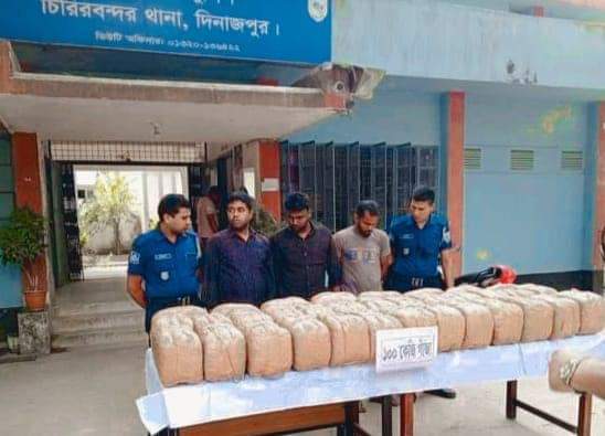 চিরিরবন্দরে ১০০ কেজি গাঁজাসহ ৩ ব্যবসায়ী আঁটক