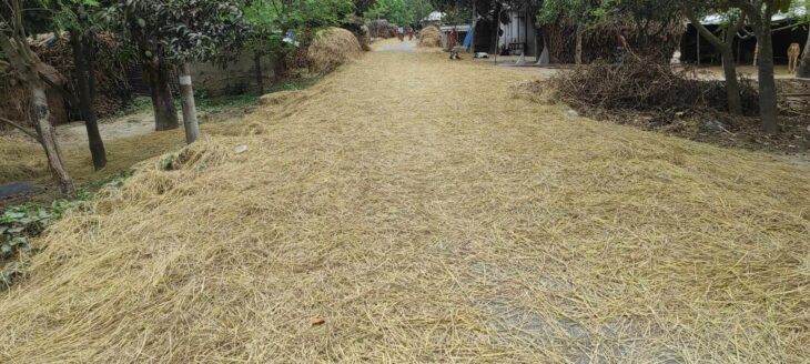 প্রধান সড়কগুলোতে খড়-কুটোর কারণে মরণ ফাঁদে পরিনত