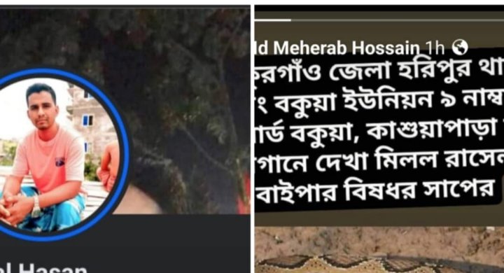 ঠাকুরগাঁওয়ের হরিপুরে রাসেল ভাইপার এর মিথ্য গুজব ছড়িয়ে এলাকায় আতংক