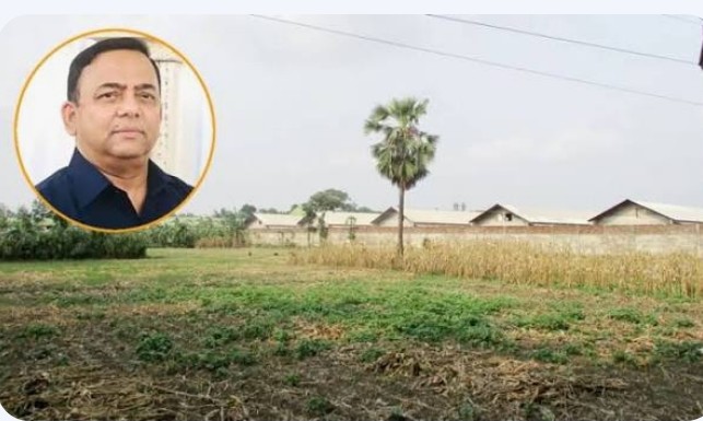 ঠাকুরগাঁওয়ের যে মুরগির খামার হেলিকপ্টারে পরিদর্শনে এসেছিলেন বেনজীর