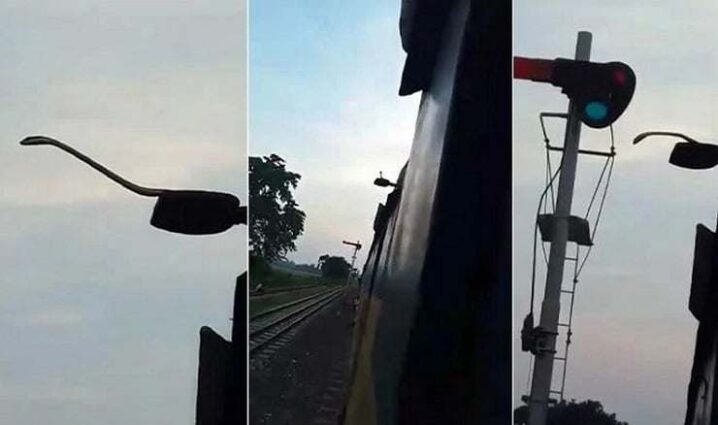 পঞ্চগড়ে এবার চলন্ত ট্রেনের ছাদে দেখা মিলল সাপের 