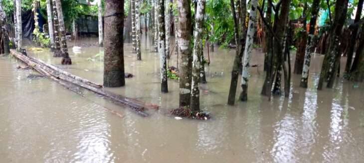 কক্সবাজারে বৃষ্টিপাতে ঈদগাঁও এলাকায় প্লাবিত 