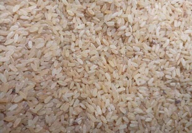 রাজারহাটে লালচে ও দুর্গন্ধ যুক্ত ভিজিএফের চাউল বিতরণ