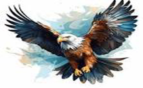 বাংলাদেশে নিবন্ধন পেলো এবি পার্টি নামের নতুন দল যাদের প্রতীক ঈগল