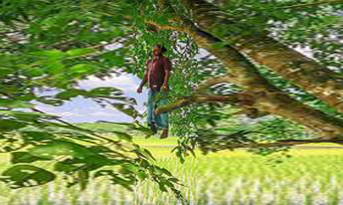 আমতলীতে বউয়ের অত্যাচার সহ্য করতে না পেরে শিক্ষকের আত্মহত্যা