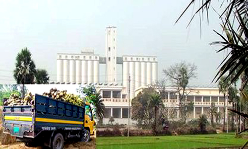 সান্তাহার সাইলোর তাল বিক্রির অর্থ হরিলুটের অভিযোগ,রাজস্ব থেকে বঞ্চিত সরকার