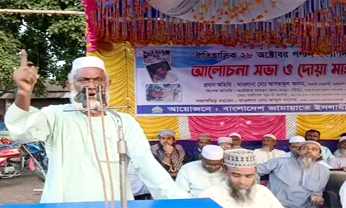 জামায়াতকে ঠেকানোর জন্য ইসলামি কয়েকটি ইসলামি গজাইছে, সহকারী সেক্রেটারীর বলেন