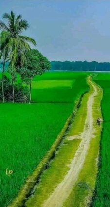 সারাদেশে শীতের আগামনী বার্তা শুরু 