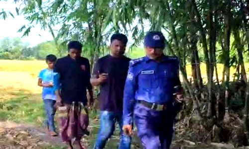 পঞ্চগড়ে কৃষকের ৭ বিঘা জমির ধান দিনে দুপুরেই চুরি,আদালতে মামলা