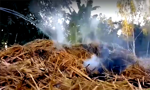 দিনাজপুর বীরগঞ্জের পল্লীতে বসতবাড়ি ভাংচুর, লুটপাট, অগ্নিসংযোগ, আহত-৫.