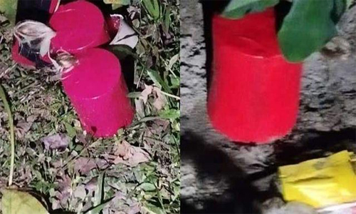 পঞ্চগড়ে যুবদলের কর্মীসভায় ককটেল বিস্ফোরণ গ্রেফতার ২