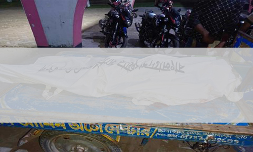 ডোমারে তয়েজ পরিবহনের চাকায় পিষ্ট হয়ে মফিজুল নামে একব্যক্তি নিহত