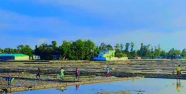 আগাম প্রস্তুতি নিয়ে লবণের মাঠে ঈদগাঁওর প্রান্তিক চাষীরা