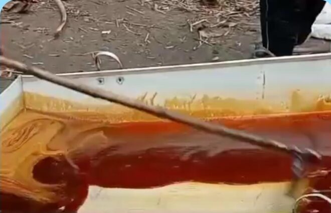 পাঁচবিবিতে গাছিরা খেজুর রস থেকে গুড় তৈরী করছেন