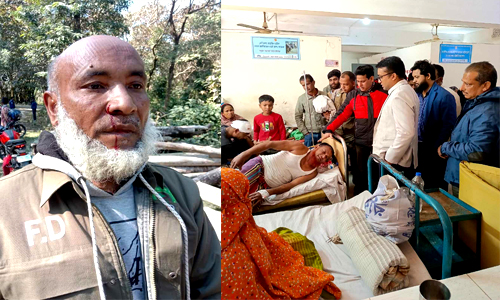 নীলফামারীর গোসাইগঞ্জের বন বিভাগের কর্মকর্তাসহ ছয় জন দুর্বৃত্তদের হামলার স্বীকার