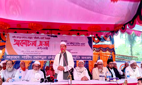 শেখ হাসিনাকে দেশে ফিরিয়ে ফাঁসি দেওয়া হবে-হামিদুর রহমান আযাদ