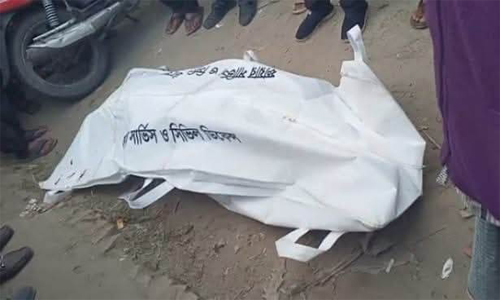 ট্রাকের ধাক্কায় ডোমারে মোটরসাইকেল আরোহী নিহত