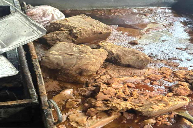 যৌথ বাহিনীর অভিযানে বিপুল পরিমাণ ভেজাল গুড় জব্দ, গ্রেফতার ২জন নাটোরে