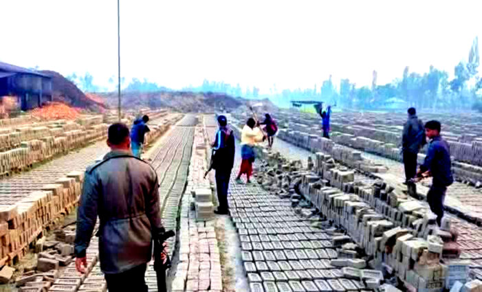 কুড়িগ্রামের রাজারহাটে অবৈধ ইটভাটা বন্ধের দশ দিনের মাথায় চালু