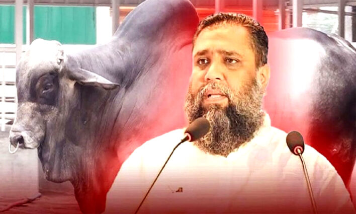 ঢাকার মোহাম্মদপুরের সাদিক অ্যাগ্রোর মালিকের জামিন নামঞ্জুর