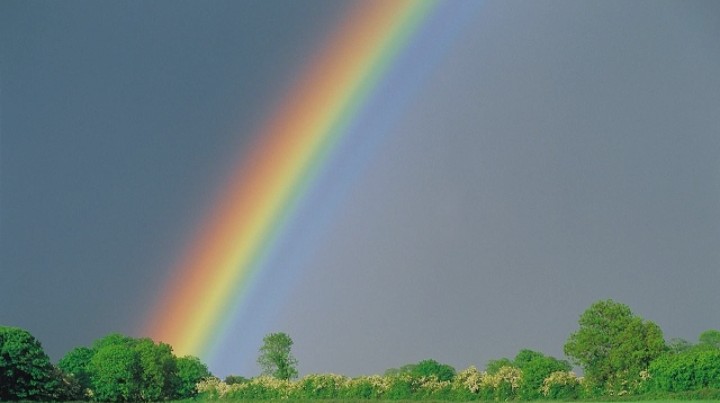 কবিতা: বরূণা-লুনা জাহান