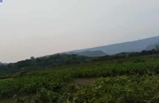 তাহিরপুর পর্যটন কেন্দ্র বারেকের টিলা চোরাচালানের নিরাপদ রুট