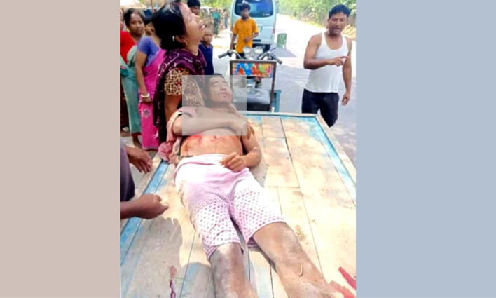 মহাসড়কে খড় শুকাতে গিয়ে মাইক্রোবাসের ধাক্কায় প্রান গেল দিলীপের