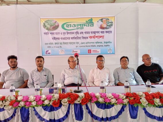 হাওলাদার এগ্রোর গবাদি পশুকে সাইলেজ খাওয়ানোর কার্যকারিতা বিষয়ক কর্মশালা।