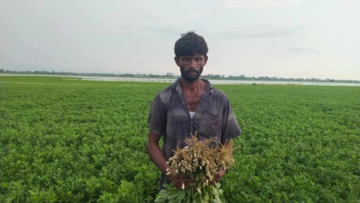 রাজারহাটে টানা বৃষ্টিতে তিস্তার চরে তলিয়ে গেছে বাদাম ভুট্টাসহ মৌসুমি ফসল