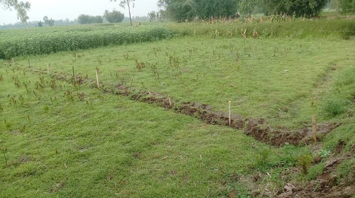 নবাবগঞ্জে ভাইকে পিতা সাজিয়ে ৩.৫৯ শতক জমি আত্মসাতের অপচেষ্টা আদালতে মামলা