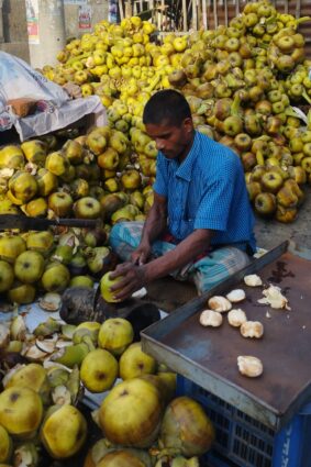 পুষ্টি গুণে ভরপুর গ্রীষ্মকালে তাল শাঁসের কদর