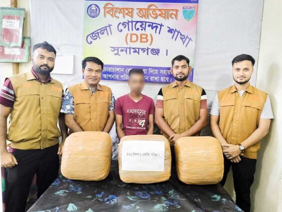 সুনামগঞ্জে ডিবির অভিযানে ১৬ কেজি গাঁজাসহ ১ মাদক ব্যবসায়ী গ্রেফতার