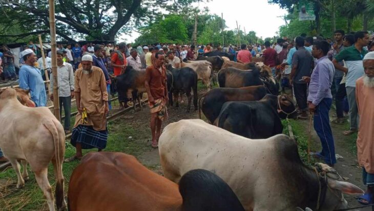 আদমদীঘিতে রেল স্টেশন ঘিরে পশুর হাটে প্রশাসনের নেই বাঁধা,দূর্ঘটনার আশঙ্কা