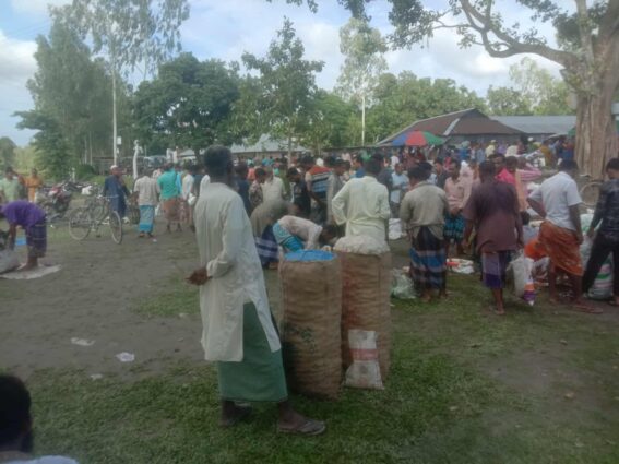 কুড়িগ্রামের ফুলবাড়ীতে সুপারির ভালো বাজার পাওয়ায় কৃষকের মুখে হাসি