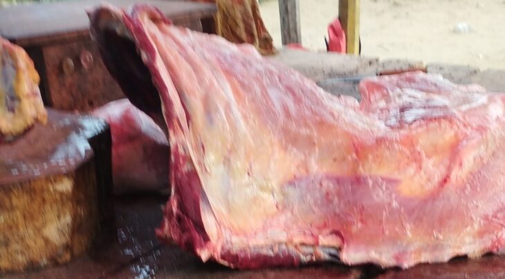 বিরামপুরে পরীক্ষা নিরীক্ষা ছাড়ায় যত্রতত্র গরু জবাই জনগণের মনে সন্দেহ