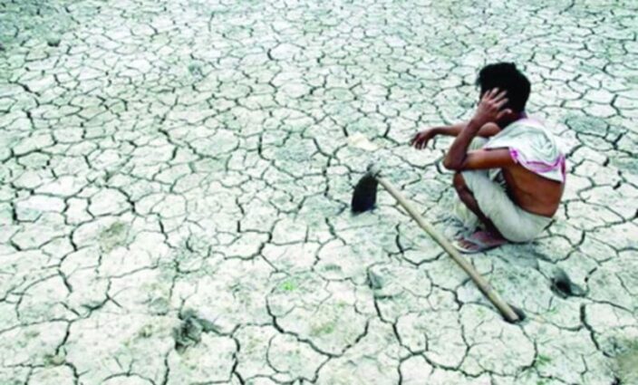 পঞ্চগড়ের তেঁতুলিয়ায় আষাঢ় ও শ্রাবণ মাসে বৃষ্টি না থাকায় আমন রোপা চাষাবাদ বিপর্যয়