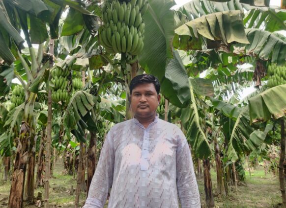 কলা চাষে সফলতা অর্জন করেছেন কৃষি উদ্যোক্তা ওসমান গনি